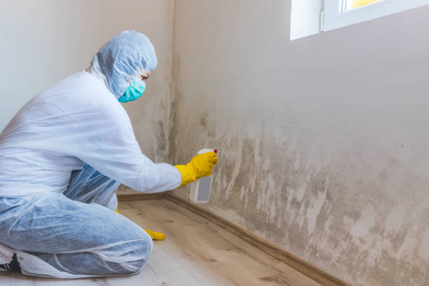 Mold inspector in Sammamish performing thermal imaging